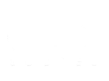 Logo da 365SCORES